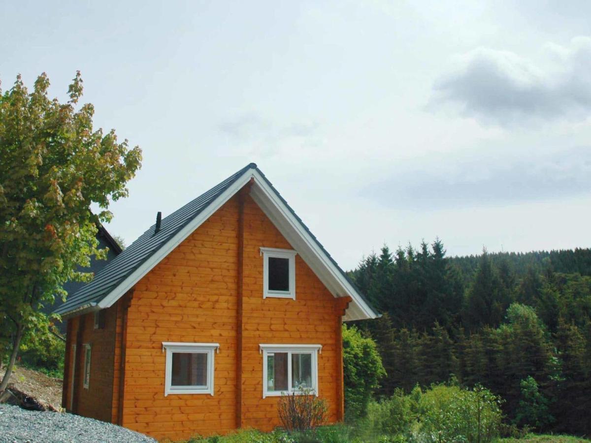 Wooden House With Sauna In K Stelberg Medebach Εξωτερικό φωτογραφία